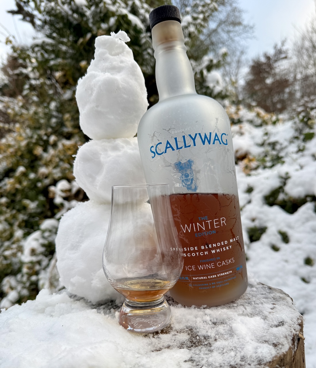 Scallywag Winter Edition 2025