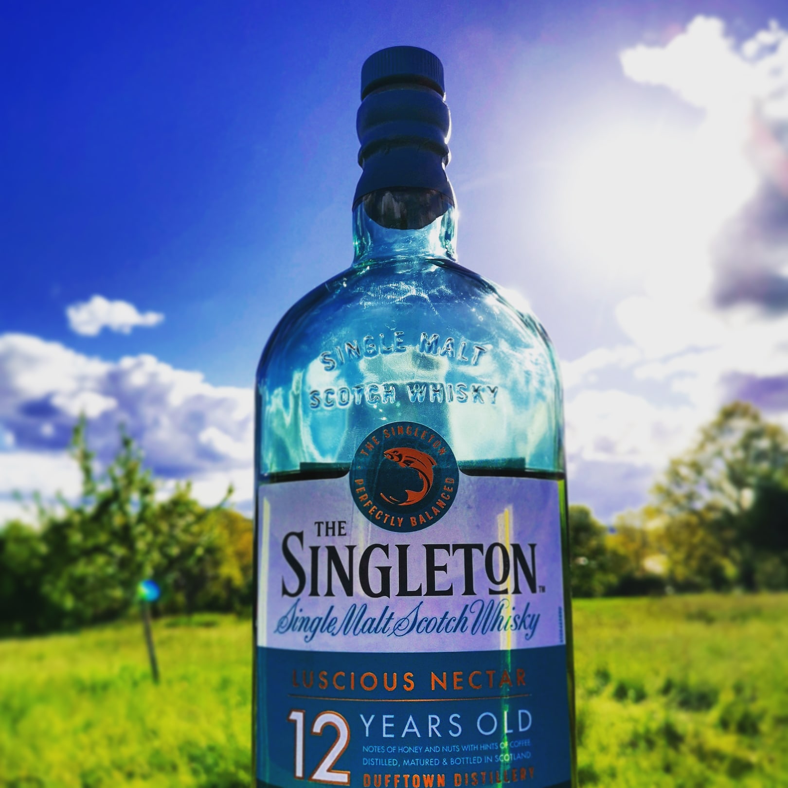 The Singleton of Dufftown 12 Jahre Speyside Single Malt Scotch Whisky
